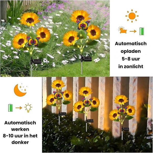 SunBloom™ – Laat je tuin stralen & geniet van sfeervolle avonden!