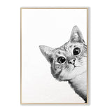 CatArt™ - Creëer een mooie en speelse sfeer! - Yoova