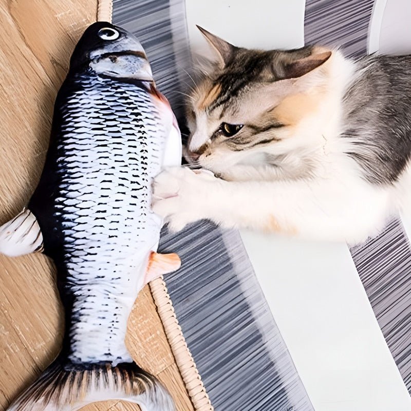 FishBop™ - Interactief plezier voor harige vrienden - Yoova