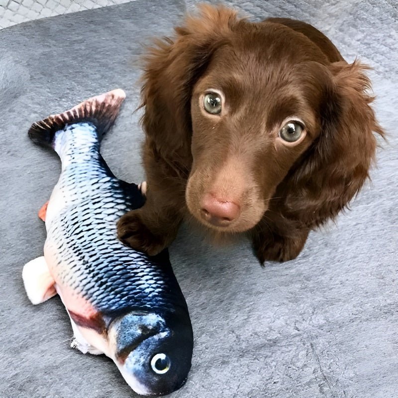 FishBop™ - Interactief plezier voor harige vrienden - Yoova