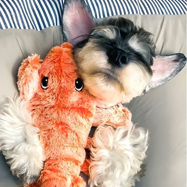 FurryPal™ - Eindeloos plezier voor je harige vriend - Yoova