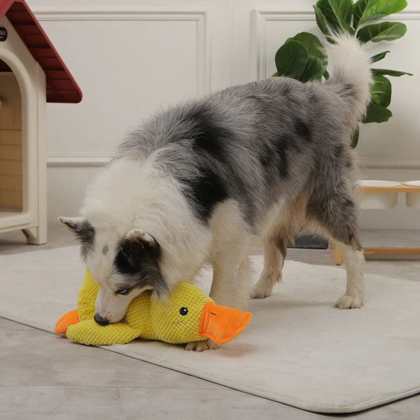 Quacky - Ultieme Eend Pluche Hondenspeelgoed - Yoova