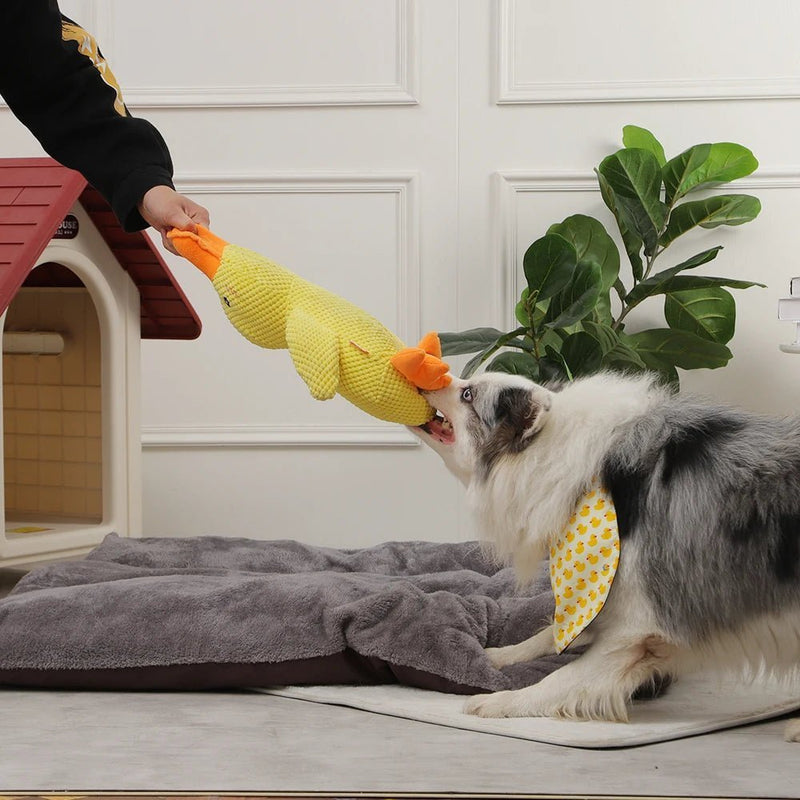 Quacky - Ultieme Eend Pluche Hondenspeelgoed - Yoova