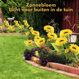 SunBloom™ – Laat je tuin stralen & geniet van sfeervolle avonden! - Yoova
