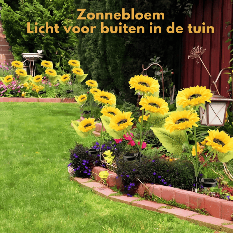 SunBloom™ – Laat je tuin stralen & geniet van sfeervolle avonden! - Yoova